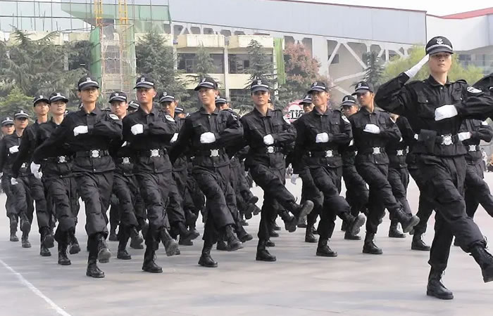 企事業(yè)單位安保服務(wù)